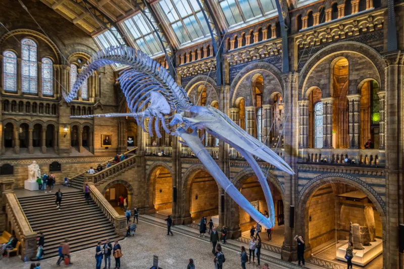 Natural History Museum, London