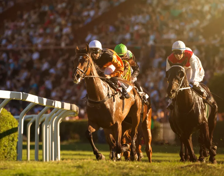 Horse racing