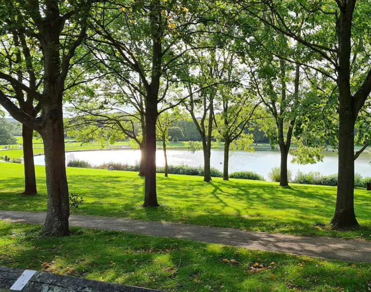 Stevenage park and water