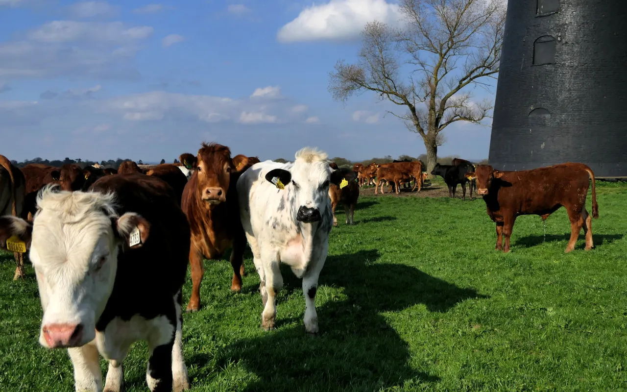 Hull Trains Beverley Westwood