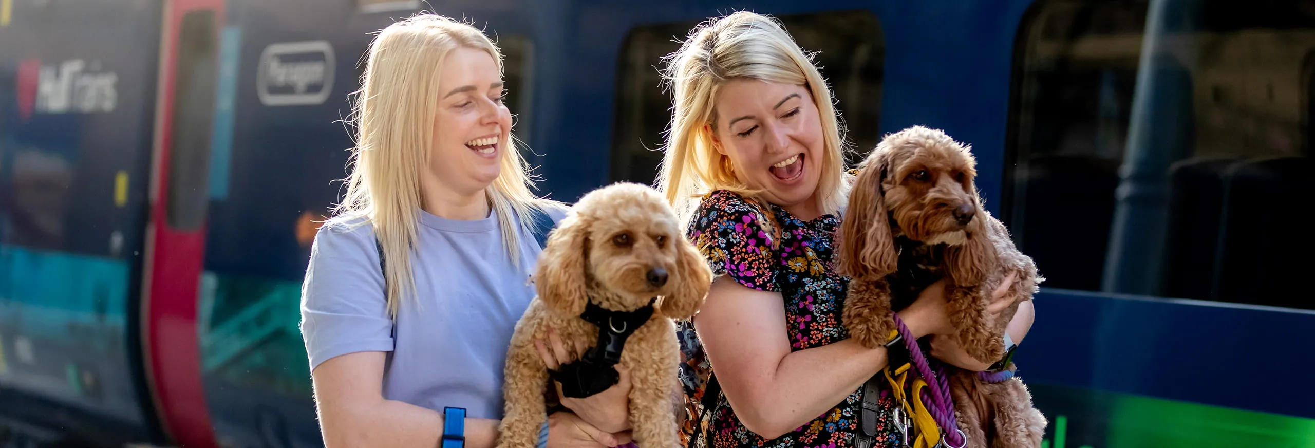 2 people and 2 dogs walking on the platform by a Hull Trains service